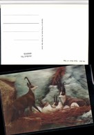 Delcampe - 490958,3D 3 D 3-D Karte Wackelkarte Goat Born Of Egg Gämse Nest Eier - Sonstige & Ohne Zuordnung