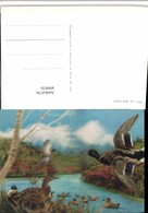 Delcampe - 490970,3D 3 D 3-D Karte Wackelkarte Wild Ducks Wildenten Enten - Sonstige & Ohne Zuordnung