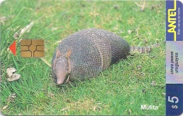 Uruguay - Antel - Mulita Armadillo Animal - TC 92a - 11.1999, 200.000ex, Used - Uruguay