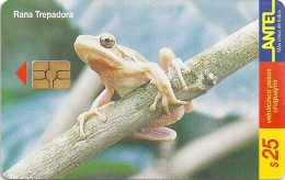 Uruguay - Antel - Rana Trepadora Frog - TC 97a - 02.2000, 200.000ex, Used - Uruguay