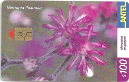 Uruguay - Antel - Yerba Del Sudor Flower - TC 218a - 01.2002, 100.000ex, Used - Uruguay