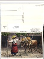 521816,Portugal Famalicao Volkstyp Type Ochsen Rinder - Europe