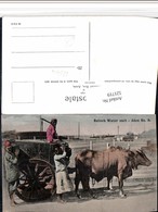 521719,Asia Aden Bullock Water Cart Volkstypen Typen Rinder Gespann - Asia