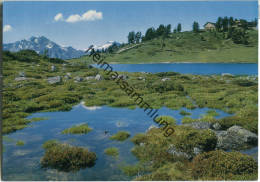 Nendaz - Le Petit Lac - Restaurant Du Tracouet - Ansichtskarte Großformat - Nendaz