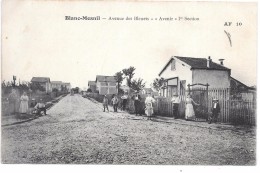 LE BLANC MESNIL - Avenue Des Bleuets - Avenir 1re Section - Le Blanc-Mesnil
