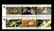 AUSTRALIA - 1994 45c. ENDANGERED SPECIES BLOCK  1 KOALA  REPRINT  MINT NH - Ensayos & Reimpresiones