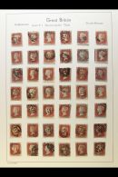 PLATE RECONSTRUCTION 1841 IMPERF Penny Red CHECK LETTER Plate Reconstruction Presented On A Set Of Album Pages. We... - Altri & Non Classificati