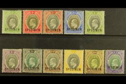 1903-04 Definitives Set Complete Overprinted "SPECIMEN", SG 10s/20s, Fine Mint (11 Stamps) For More Images, Please... - Nigeria (...-1960)