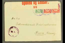 1916 (30 Dec) Cover To Switzerland Bearing 1d Pair & ½d Union Stamps Tied By Three "OKASISE RAIL"... - Africa Del Sud-Ovest (1923-1990)