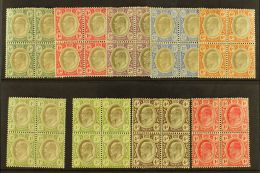 TRANSVAAL 1902-09 Group Of Mint Blocks Of 4, Incl. Wmk Crown CA ½d To 2½d, 6d & 1s, Wmk Mult... - Zonder Classificatie