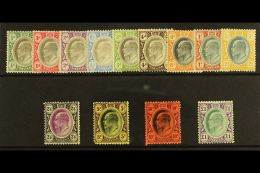 TRANSVAAL 1904 - 09 Ed VII Set To £1 Complete On Ordinary Paper, SG 260/72, Very Fine And Fresh Mint. (13... - Zonder Classificatie