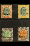 TRANSVAAL 1903 Ed VII Set To £5 Ovptd "Specimen", SG 256s/9s, Very Fine Mint, Large Part Og (4 Stamps) For... - Zonder Classificatie