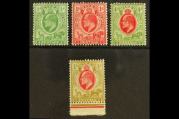 ORANGE FREE STATE 1905 Ed VII Set Complete, SG 148/151, Vf Mint. (4 Stamps) For More Images, Please Visit... - Zonder Classificatie