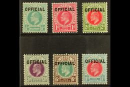 NATAL OFFICIALS 1904 Ed VII Set, SG O1/6, Very Fine Mint (½d Couple Tone Spots). (6 Stamps) For More... - Zonder Classificatie