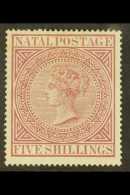 NATAL 1874-99 5s Maroon, Perf 15 X 15½, SG 71a, Mint, Light Toning In Margin At Top Left. For More Images,... - Zonder Classificatie