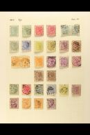 1876-1949 MINT & USED COLLECTION On Leaves, Inc 1884-91 Used Sets (x2), Plus To 3d & 4d Mint, 1913-21 To... - Costa D'Oro (...-1957)