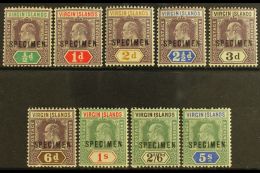 1904 Ed VII Set Wmk MCA, Ovptd "Specimen", SG 54s/62s, Fine Mint. (9 Stamps) For More Images, Please Visit... - Britse Maagdeneilanden