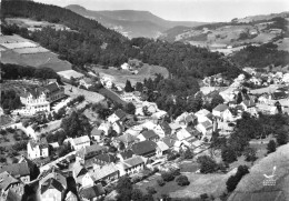 68-ORBEY- VUE DU CIEL - Orbey