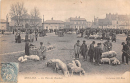 03-MOULIN- LE PLAN DES BOUCHERS - Moulins