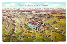 7967 BAD WALDSEE, Waldsee Und Umgebung, Künstler-AK Felle, 1916 - Bad Waldsee