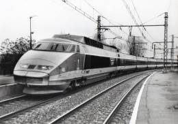 PHOTO 305 - Photo 14,5 X 10,5 - TGV ROUEN X LYON - Photo Guy LAFORGERIE - Eisenbahnen