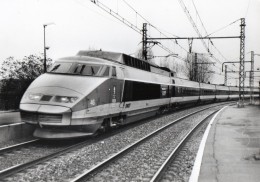 PHOTO 305 - Photo 14,5 X 10,5 - TGV ROUEN X LYON - Photo Guy LAFORGERIE - Trenes