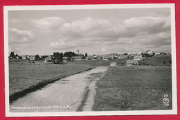 Foto-AK Aus Höchenschwand  (LK Waldshut) ~ 1953 - Höchenschwand