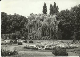 Flémalle - Haute -- Parc Communal.    (2 Scans) - Flémalle