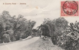 Jamaica  A Country Road - 1909  - Scan Recto-verso - Giamaica