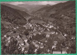 Allemagne - Blick Vom Schloss Ins Gutachtal - Gutach (Schwarzwaldbahn)