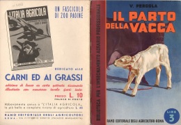 06099 "V. PERGOLA - IL PARTO DELLA VACCA - RAMO EDIT. DEGLI AGRICOLT. - ROMA - 1938 XVI" ORIGINALE - Andere & Zonder Classificatie