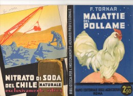 06104 " F. TORNAR - MALATTIE DEL POLLAME - RAMO EDIT. DEGLI AGRICOLT. - ROMA - 1933 XI" ORIGINALE - Altri & Non Classificati