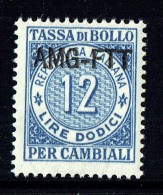 Tassa Di Bollo   Lire   12   ** Gomma Integra - Fiscaux