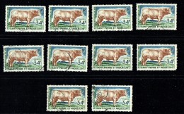 1964  Boeuf Charolais 34 Fr    Yv 375 - 10 Ex. Oblitérés - Used Stamps