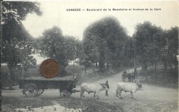 VAL D'OISE - 95 - GONESSE - Bd De La Madeleine Et Avenue De La Gare - Attelage à - Gonesse