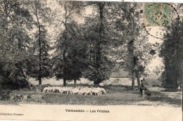 VALMONDOIS LES FRICHES BERGER AVEC SES MOUTONS - Valmondois