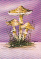 46245- MUSHROOMS - Paddestoelen