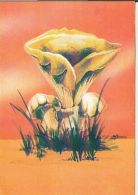 46247- MUSHROOMS - Champignons