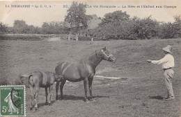 Sport.   Hippisme  La Vie Normande. C.P.A 32  La Mère Et L'enfant - Paardensport