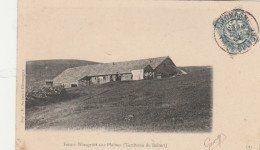 AUX PLAINES  TERRITOIRE DE BELFORT  FERME WISSGRÜTT AUX PLAINES - Altri & Non Classificati