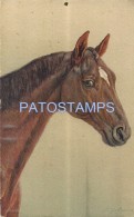 54384 ART ARTE SIGNED KAUFINANN PROFILE HORSE POSTAL POSTCARD - Other & Unclassified