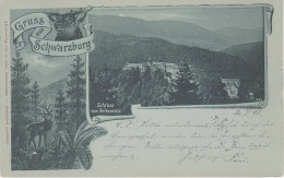 Mondschein Litho AK Gruss Schwarzburg Schloss Helenensitz Schwarzatal Bei Sitzendorf Unterweissbach Bad Blankenburg - Oberweissbach