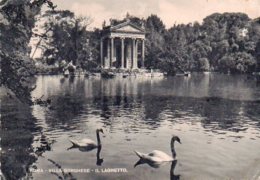 ROMA - Villa Borghese - Il Laghetto - Parchi & Giardini