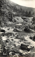 - Depts Div. Ref-JJ278- Lozere - Le Pont De Montvert - Cascades Et Gouffre De L Oule - Cascades - Gouffres - - Le Pont De Montvert