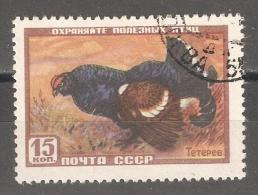 RUSSIA/USSR 1957,Game Birds,Black Grouse,Scott # 1917,VF USED - Rebhühner & Wachteln
