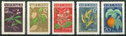 1963 Vietnam Del Nord North Piante Medicinali Medicinal Plants  MNH** -Fio143 - Geneeskrachtige Planten