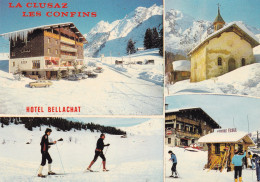 HOTEL BELLACHAT MULTIVUES/LA CLUSAZ LES CONFINS (dil247) - Hotels & Restaurants