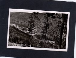 62960    Germania,   Blick Ins Nagoldtal Bei Unterreichenbach Von Der Bassert-Jagerhutte,   NV(scritta) - Nagold