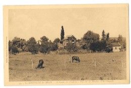 Cpa: 80 BRAY SUR SOMME (ar. Peronne) Vue Sur Les Moulins Et La Chapelle (Vaches) N° 34 - Bray Sur Somme