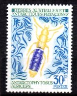 TGC/ TAAF Terres Australes  N° 51  Neuf  XX  MNH , Cote :  25,00 € , Album 12 - Unused Stamps